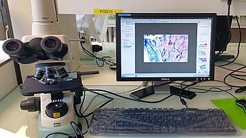 Poste de microscopie optique connecté